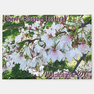 Festival de Flor de Cerezo Washington D.C. Imán