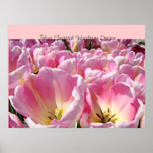 Festival de Tulipanes Woodburn Oregon impresiones 