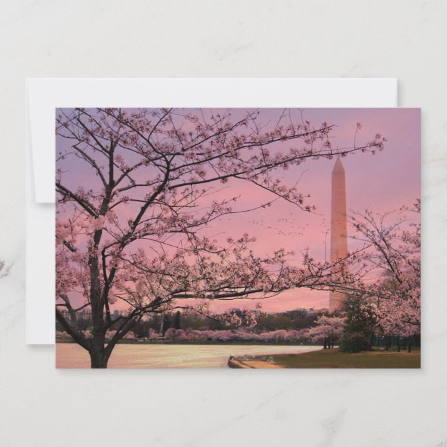 Festival Washington Monument Cherry Blossom (Anverso)