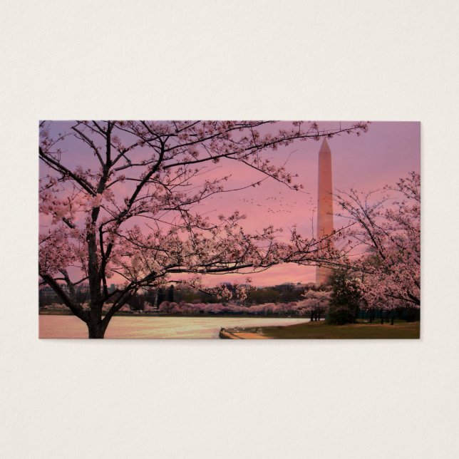 Festival Washington Monument Cherry Blossom (Frente)