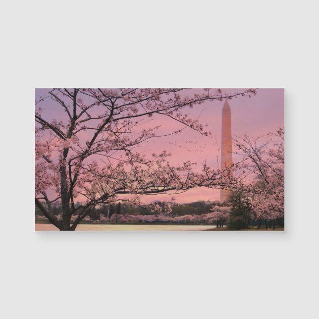 Festival Washington Monument Cherry Blossom (Anverso)