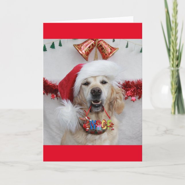 Festividad de Golden Retriever sosteniendo Navidad (Anverso)