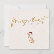 Festividad de navidades en Chihuahua Perro Feliz d