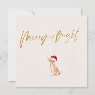 Festividad de navidades en Chihuahua Perro Feliz d