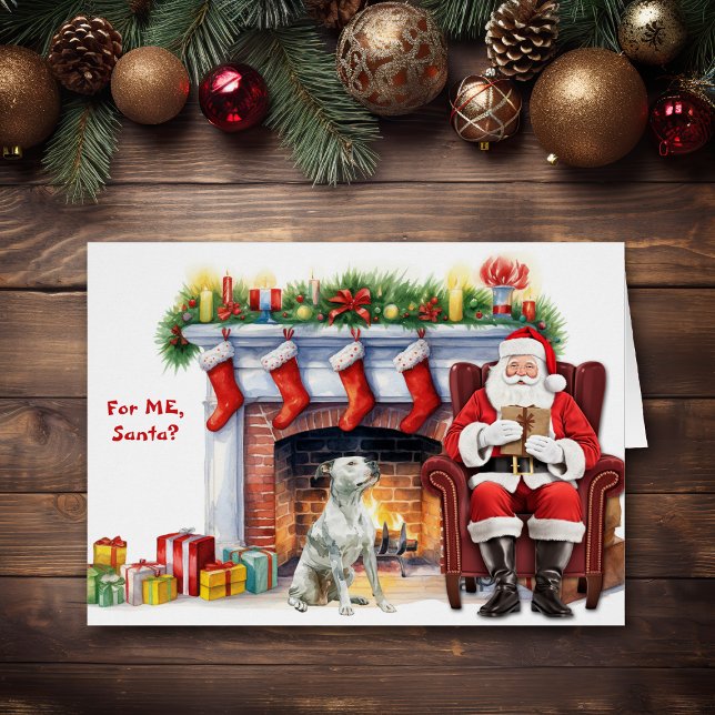 Festividad de perro de Pitbull blanco (Subido por el creador)