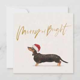 Festividad navidad Dachshund Perro Feliz