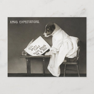 Festividades de Navidad de perros Navidades divert