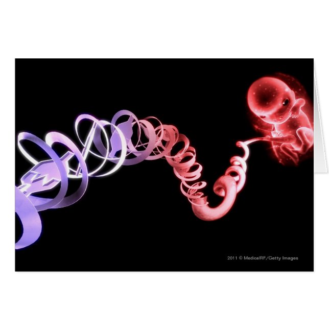 Feto con un cordón umbilical hecho de filamentos (Anverso (Horizontal))