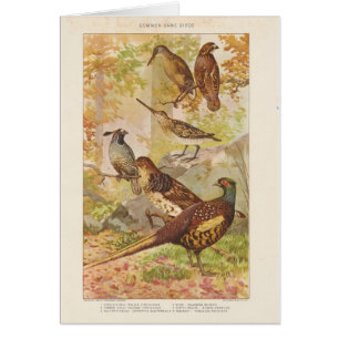 Fheasant and Game All Occasion Blank Greet