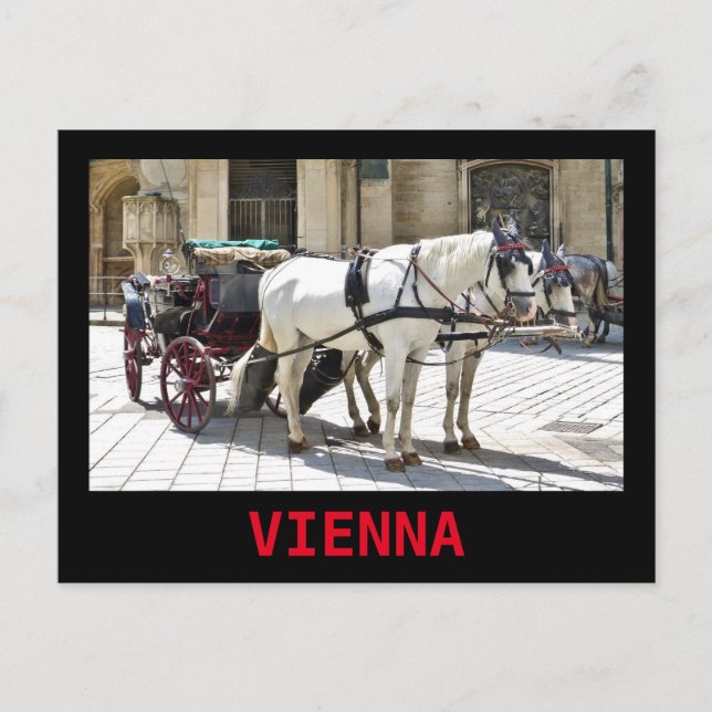 Fiaker de Viena con caballos blancos - Postal (Anverso)