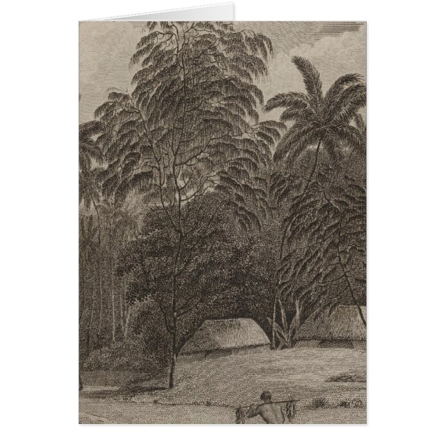 Fiatooka, Tongataboo, Tonga (Frente)