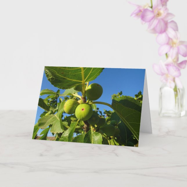 Fibras blancas en la tarjeta de árbol (Orquídea)