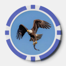 Águila calva con pescado