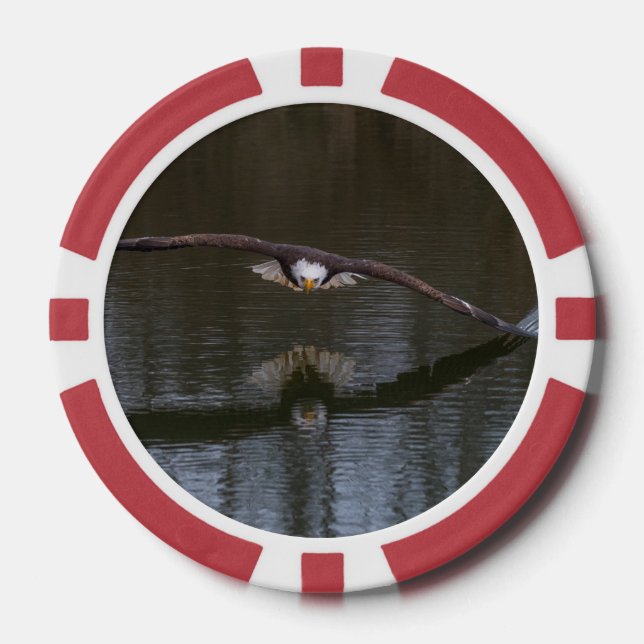 Fichas De Póquer Águila calva en vuelo (Anverso)
