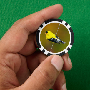 Fichas De Póquer American Goldfinch - Fotografía original