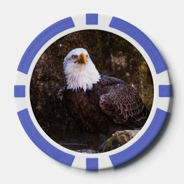 Fichas De Póquer Bald Eagle (Anverso)