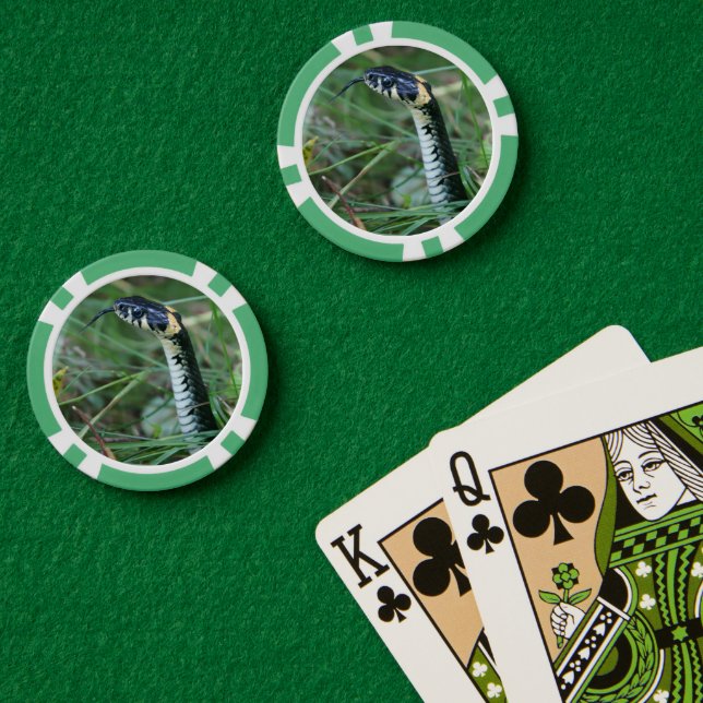 Fichas De Póquer Cabeza de serpiente (Mesa de Poker (Doble))