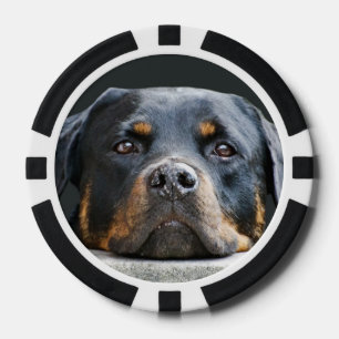 Fichas De Póquer Chips de poker con fotos de perro
