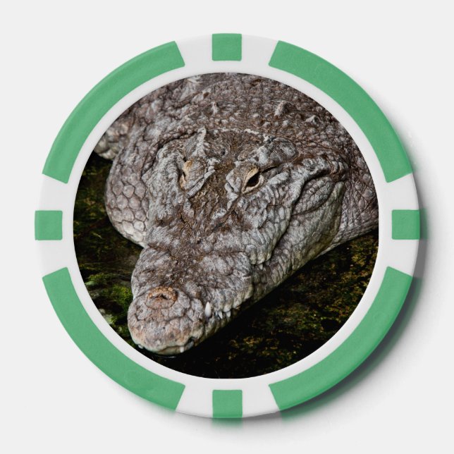 Fichas De Póquer Cocodrilo (Anverso)