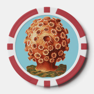 Fichas De Póquer Coral Rojo Náutico Vida Marina Ernst Haeckel