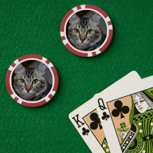 Fichas De Póquer Crea Tu Propia Foto Personalizada de Gato Mascota