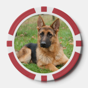 Fichas De Póquer Crea tu propia foto personalizada de tu mascota