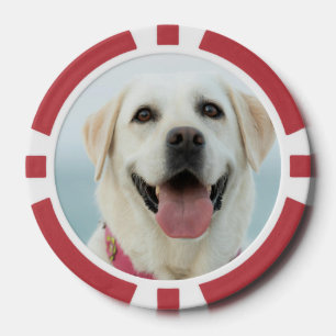 Fichas De Póquer Crea tu propia foto personalizada de tu mascota