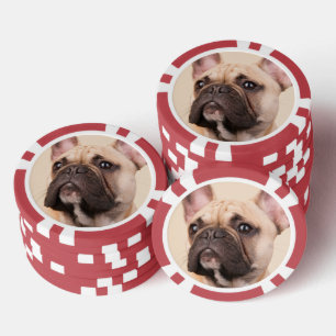 Fichas De Póquer Crea tu propia foto personalizada de tu mascota