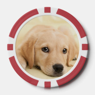 Fichas De Póquer Crea tu propia foto personalizada de tu mascota