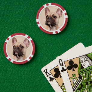 Fichas De Póquer Crea tu propia foto personalizada de tu mascota