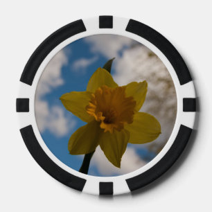 Fichas De Póquer Daffodil en primavera