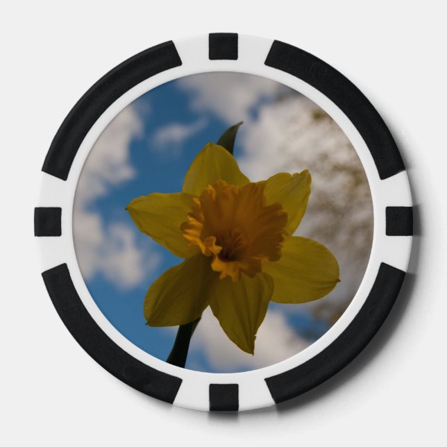 Fichas De Póquer Daffodil en primavera (Anverso)