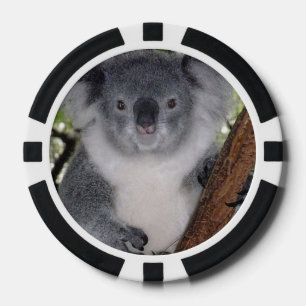 Fichas De Póquer Destiny Zazzle Cute Koala Aussi Arte Animal