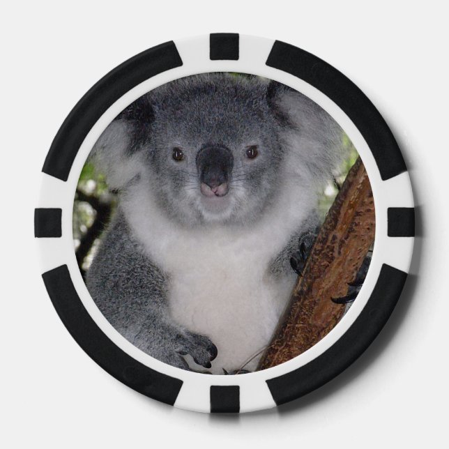 Fichas De Póquer Destiny Zazzle Cute Koala Aussi Arte Animal (Anverso)