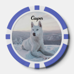 Fichas De Póquer Encantando Perro Husky Blanco en la nieve