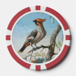 Fichas De Póquer Estudio de aves de George Edwards (1694-1773)