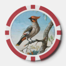 Estudio de aves por George Edwards (1694-1773)