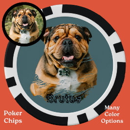 Fichas De Póquer Foto de Bulldog francés lindo