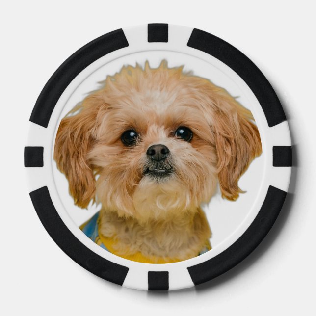 Fichas De Póquer Foto personalizada del Casino personalizado (Anverso)