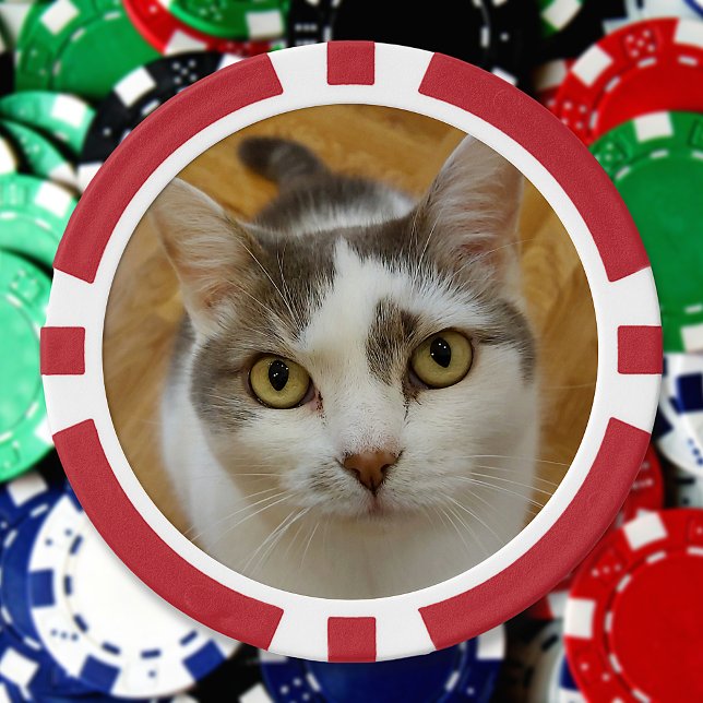 Fichas De Póquer Foto personalizado personalizada (Subido por el creador)