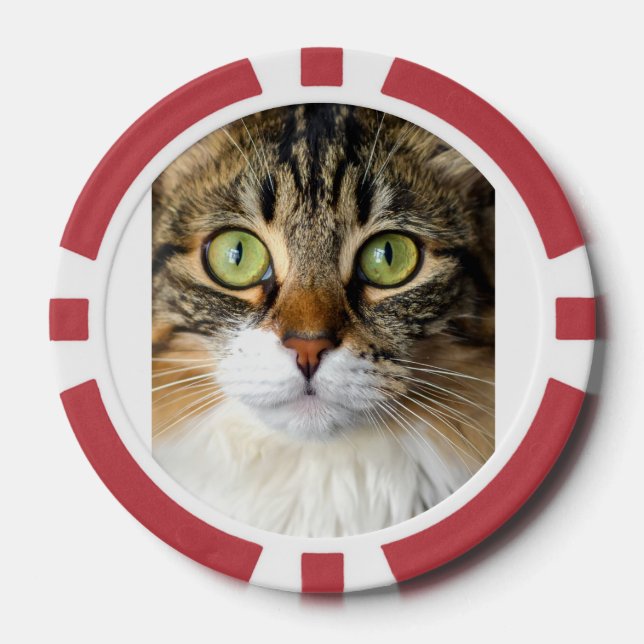 Fichas De Póquer Gato (Anverso)