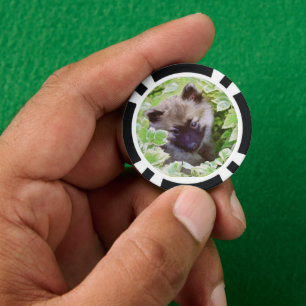 Fichas De Póquer Keeshond Puppy en el jardín pintando arte original