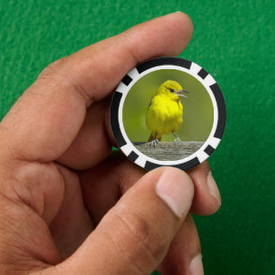Fichas De Póquer Orchard Oriole - Foto original