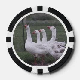 Fichas De Póquer Pato