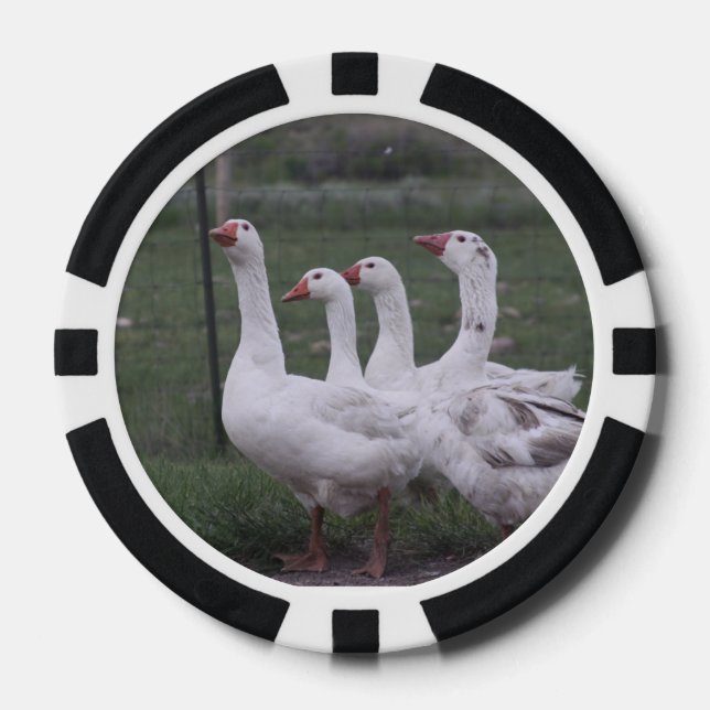 Fichas De Póquer Pato (Anverso)