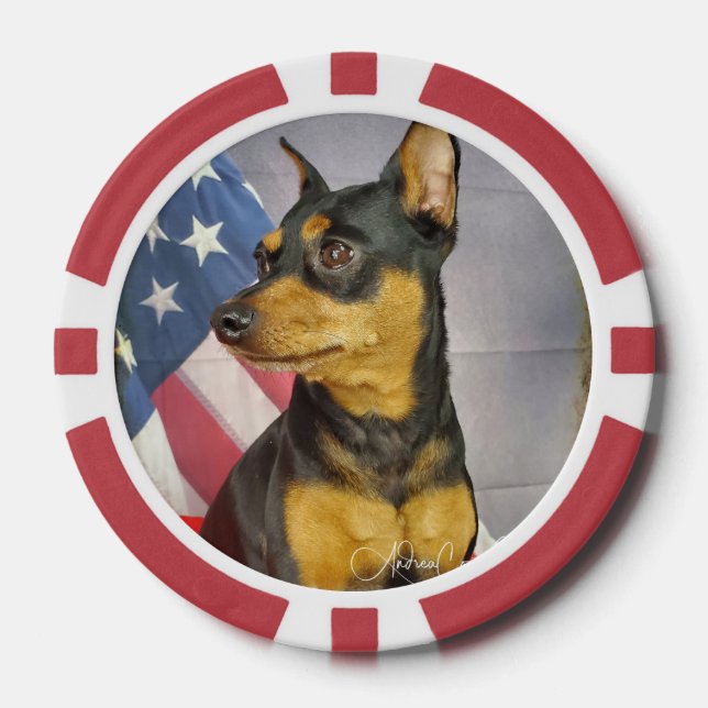 Fichas De Póquer Patriotic MinPIn (Anverso)