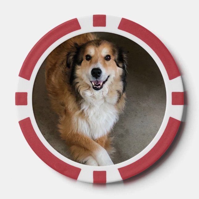 Fichas De Póquer Perro (Anverso)