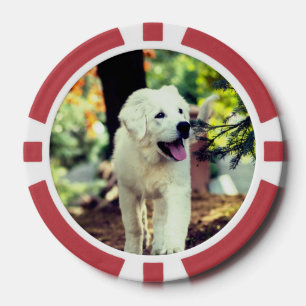 Fichas De Póquer Perro, Mascota, canino