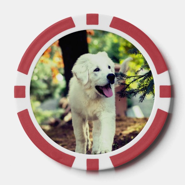 Fichas De Póquer Perro, Mascota, canino (Anverso)