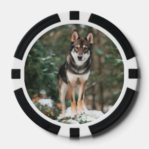 Fichas De Póquer Wolfdog